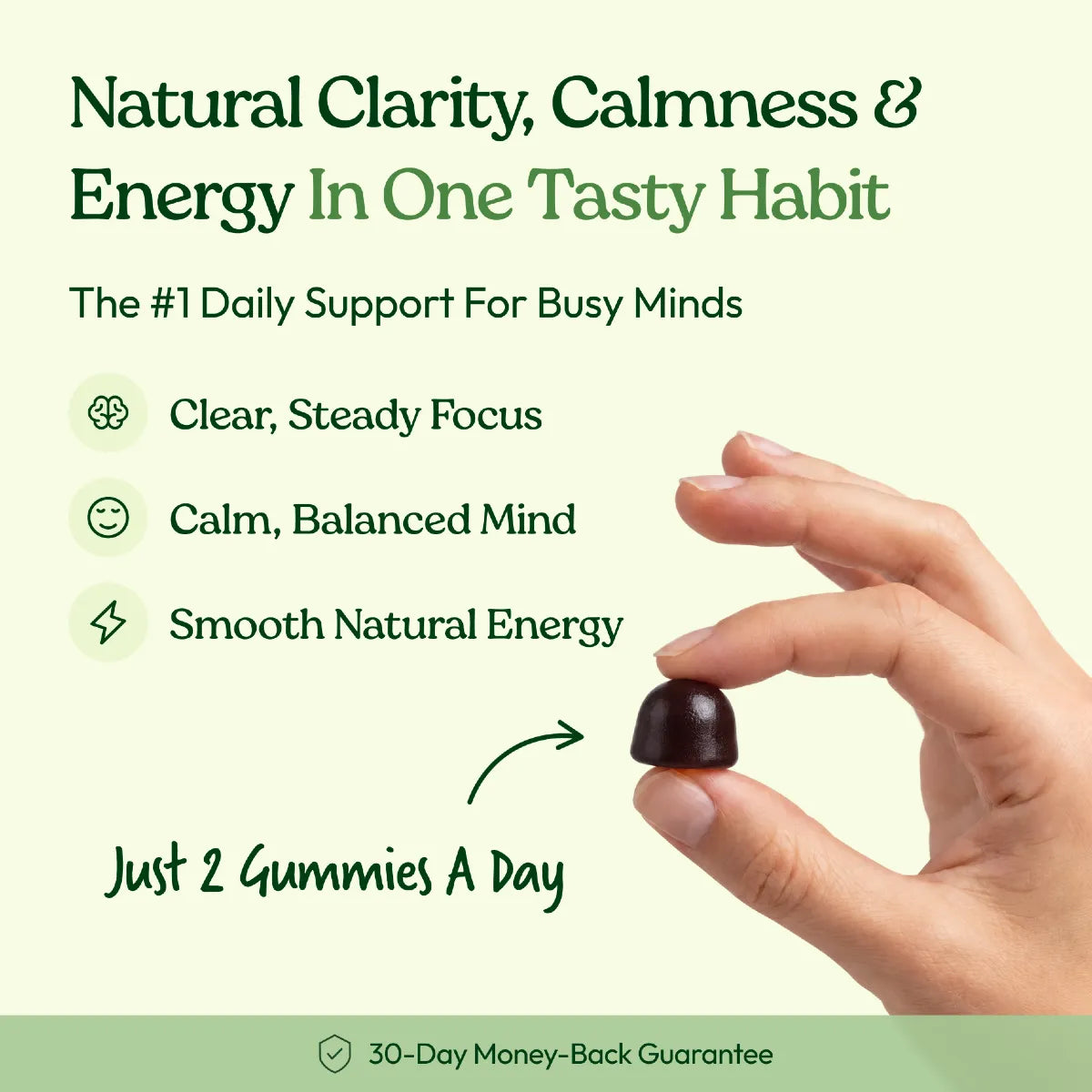 Daily Wellness Mushroom Gummies