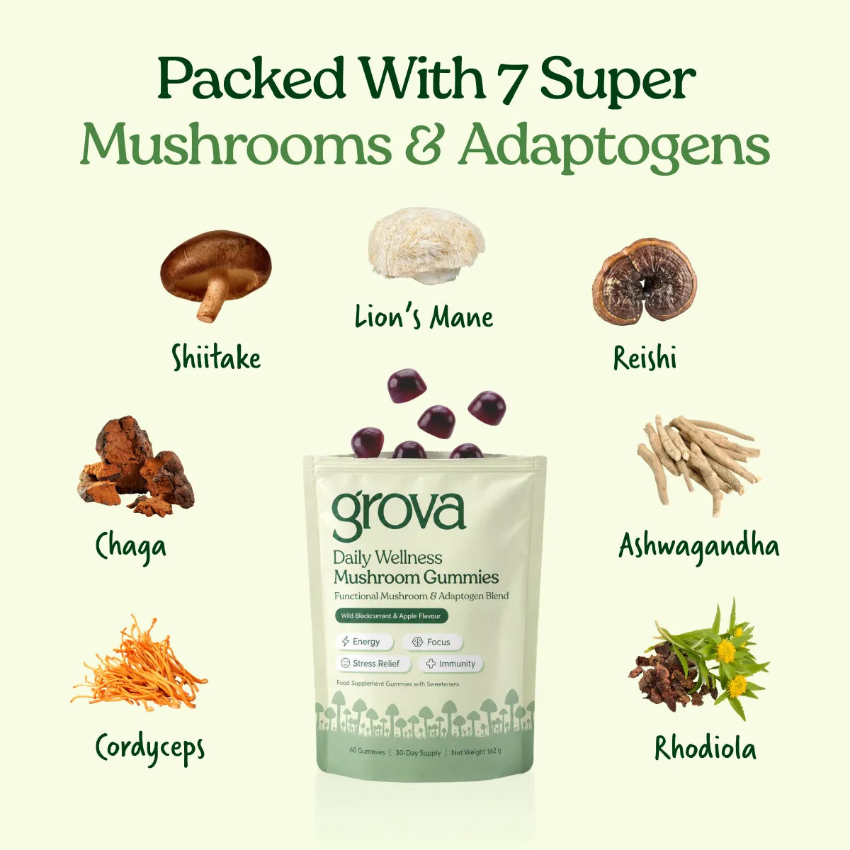 Daily Wellness Mushroom Gummies