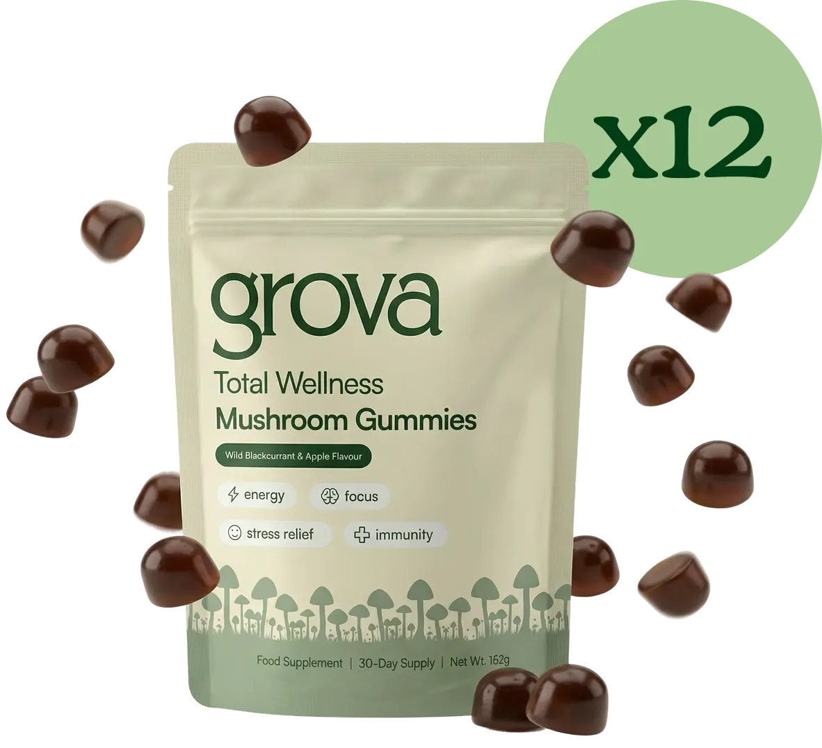 Twelve month supply of Grova Daily Wellness Mushroom Gummies