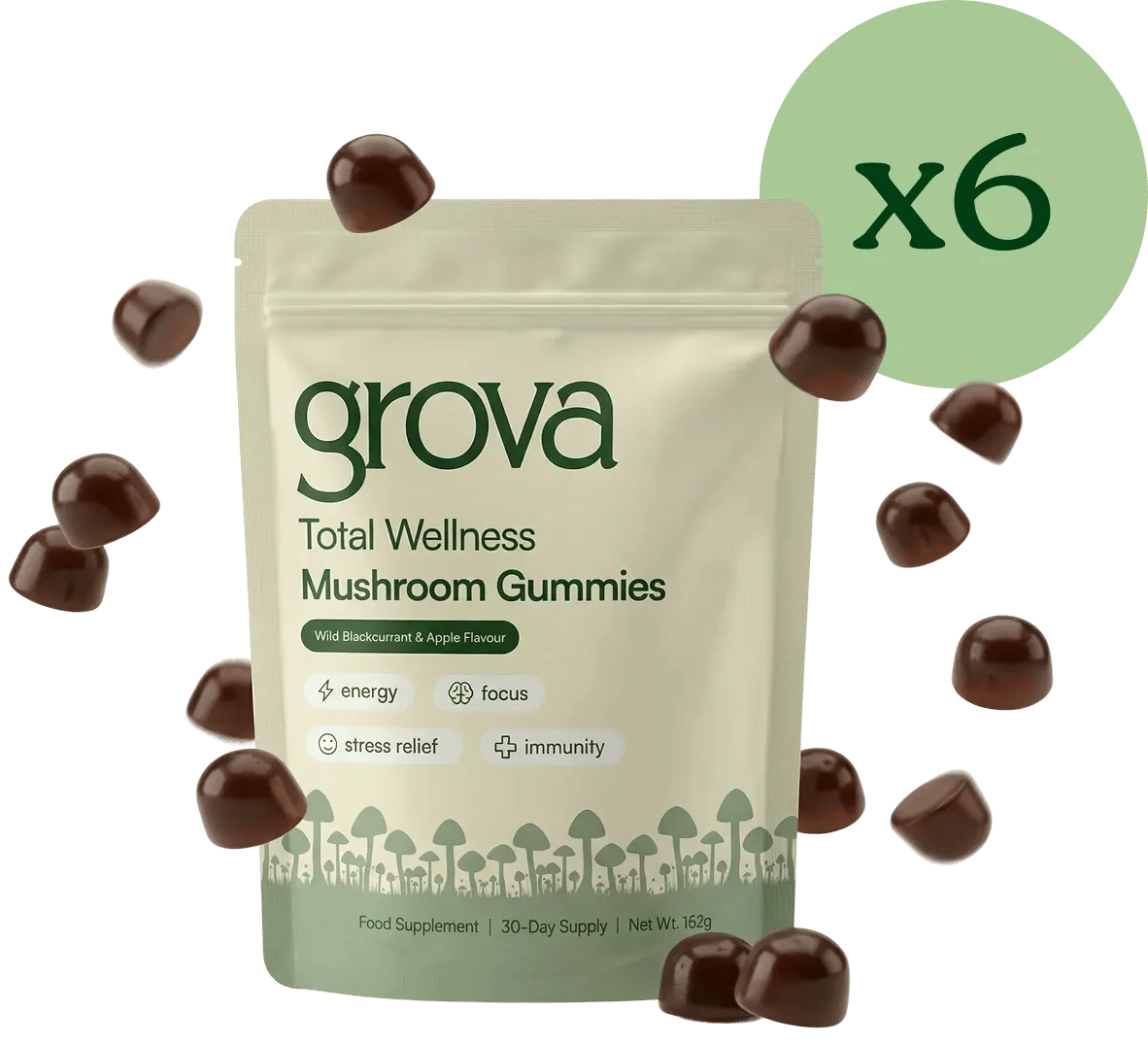 Six month supply of Grova Daily Wellness Mushroom Gummies