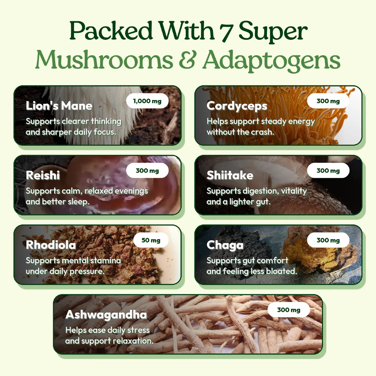 Grova’s seven mushrooms and adaptogens